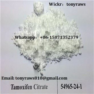 Tamoxifen Citrate Nolvadex Anti Estrogen Steroid Dạng bột thô Điều trị ung thư vú