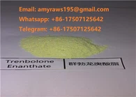 Nguyên Tren E bột