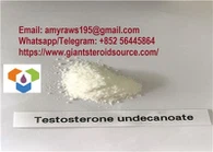 Bột Testosterone Undecanoate