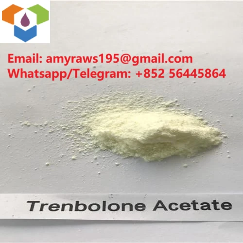 Tại sao Trenbolone Acetate lại phổ biến?